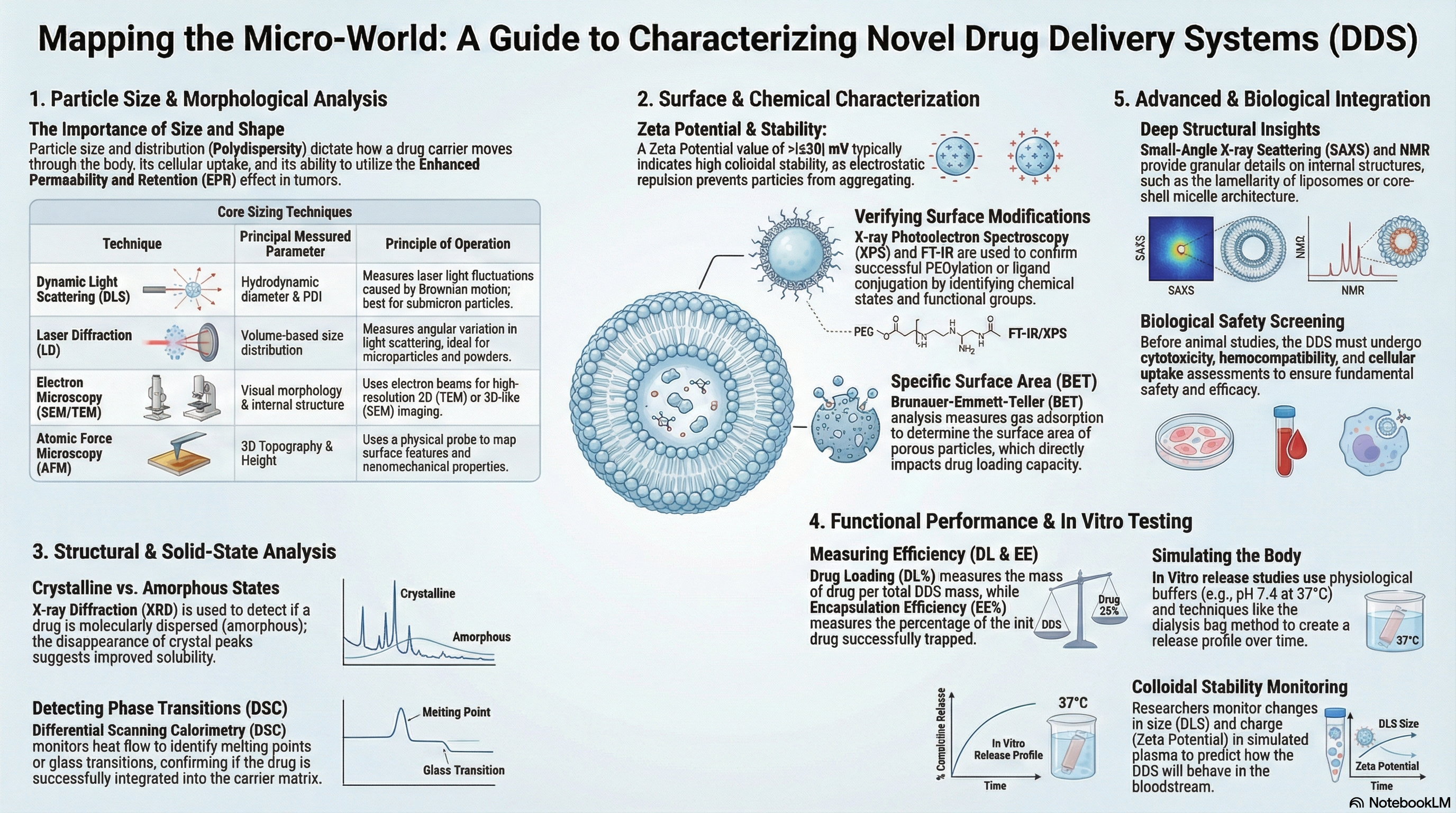 PK/PD Aspects of NDDS