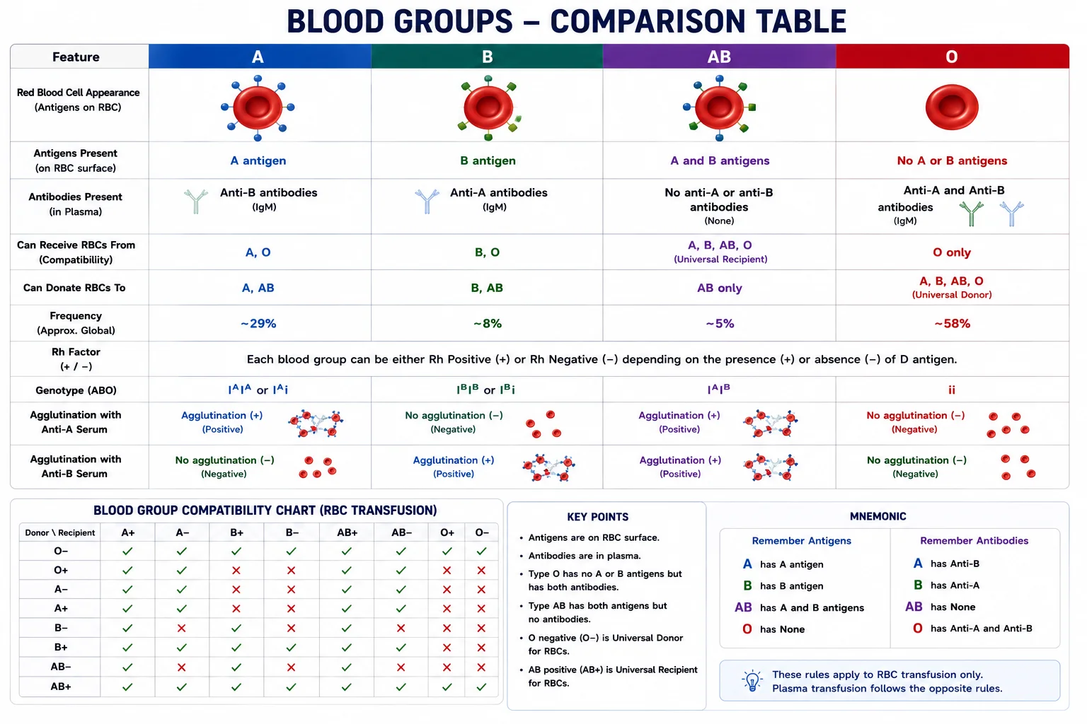 ABO and Rh Blood Group Systems